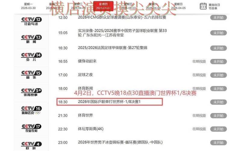 世界杯投注入口全面分析：聚焦平台排行与赛事直播体验 - 世界杯赛事中心