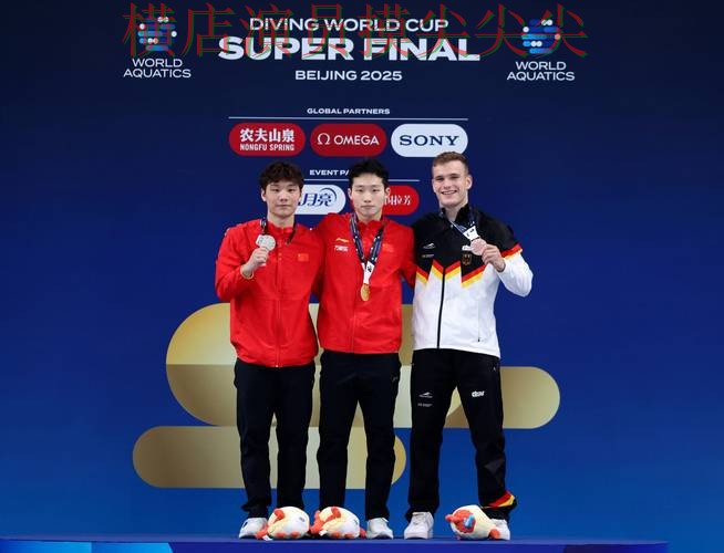 世界杯全球总决赛背景下的世界杯买球平台趋势解读与用户反馈直播解析