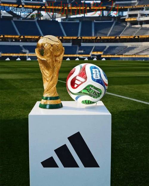 世界杯买球平台推荐是否安全？深度解析带你了解（世界杯官方信息）